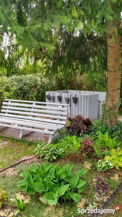 Ogródek działkowy ROD Słonecznik 32zł/m2 lubelskie