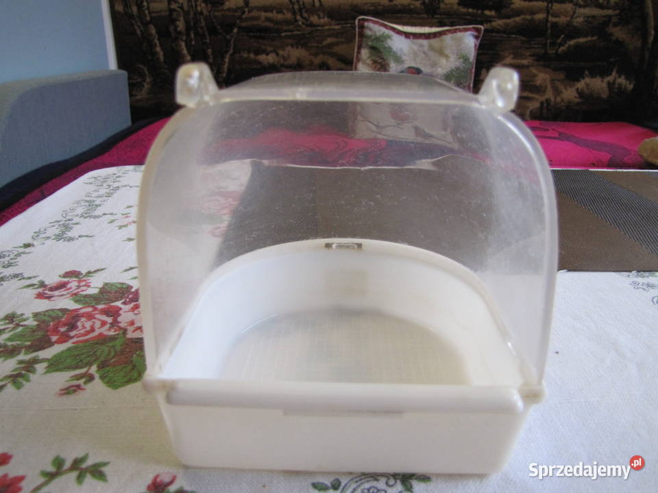 Basen ptaków Toruń