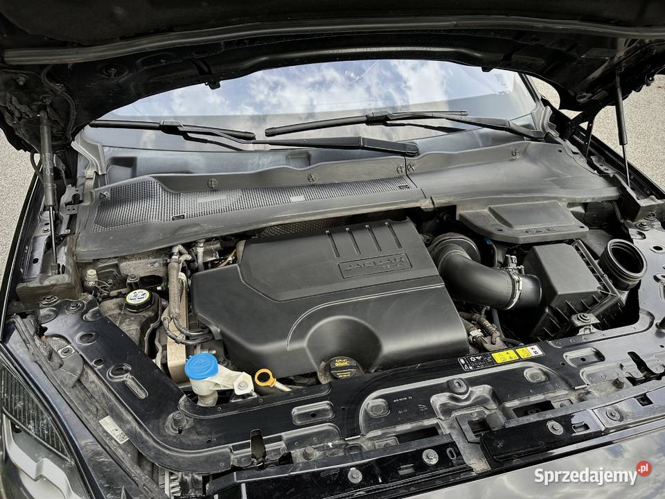 Jaguar EPace Grójec