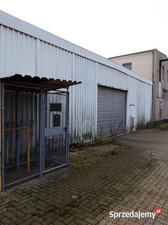 Hala TransferHalle 2016 297 mkw 16m x 186 m x Złocieniec