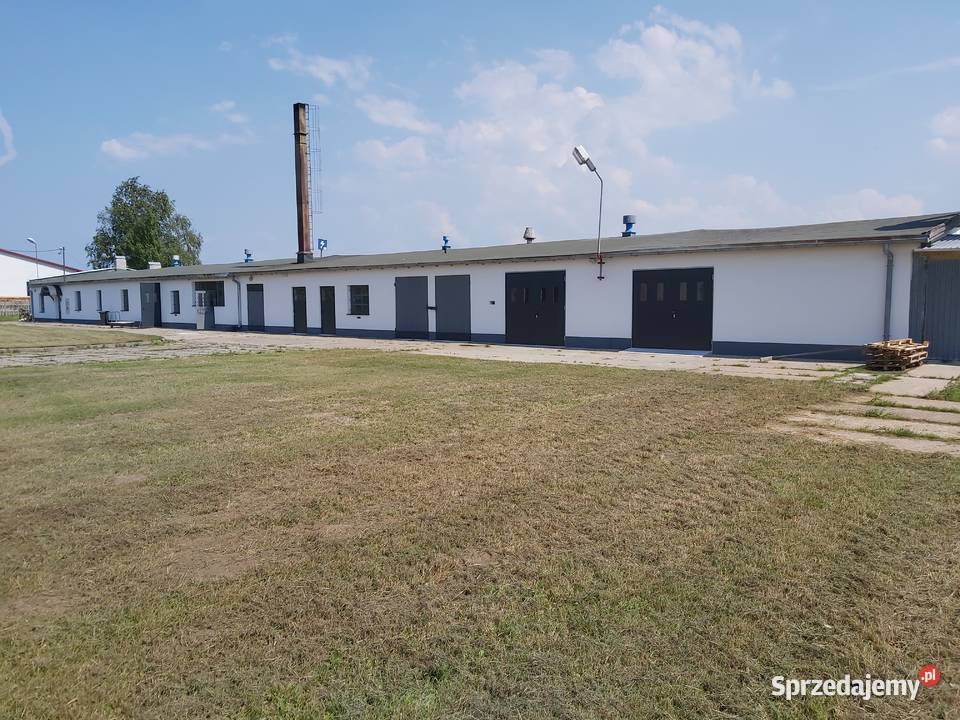 Wynajmę halę produkcyjną stolarnię maszyny Gdańsk