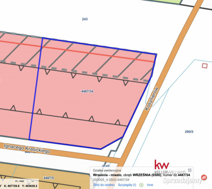 sprzedaży działki 1500m2 Września Kosynierów wielkopolskie