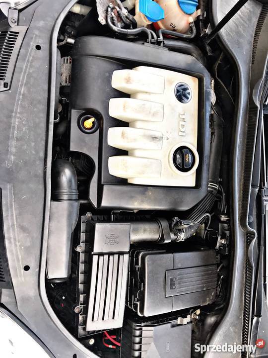 Volkswagen golf 5 19 tdi Toruń