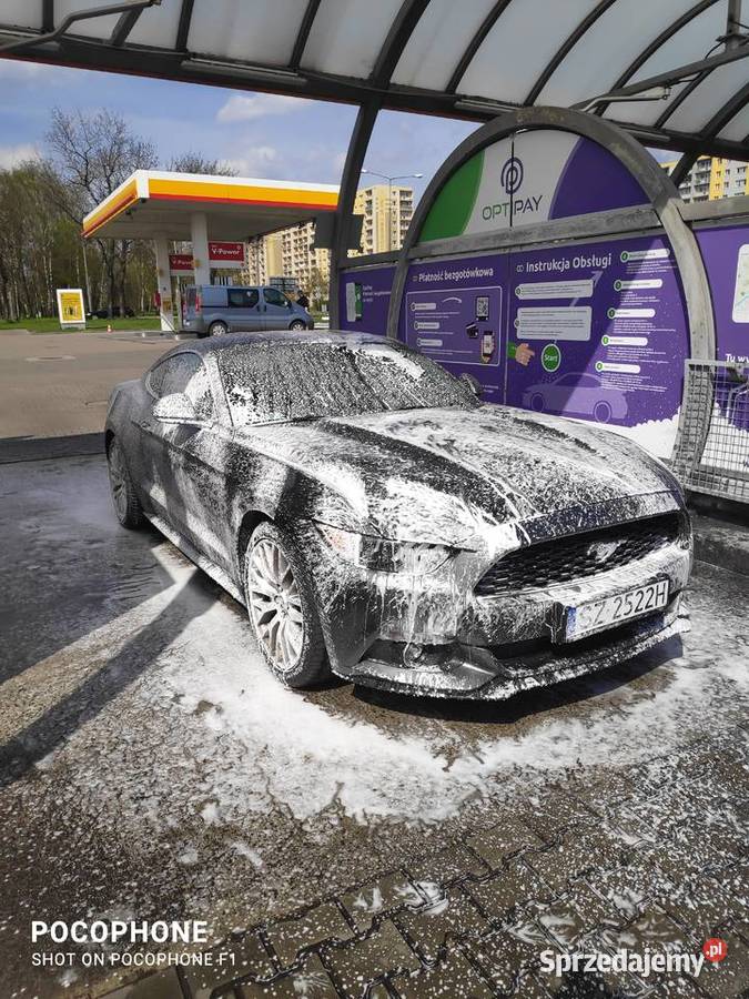 Ford Mustang 23 Zabrze