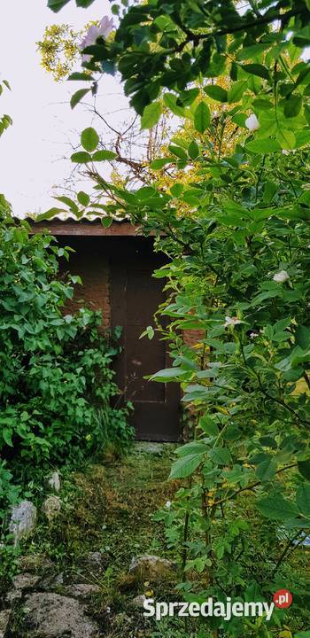 Ogródek działkowy Czeladź Piaski