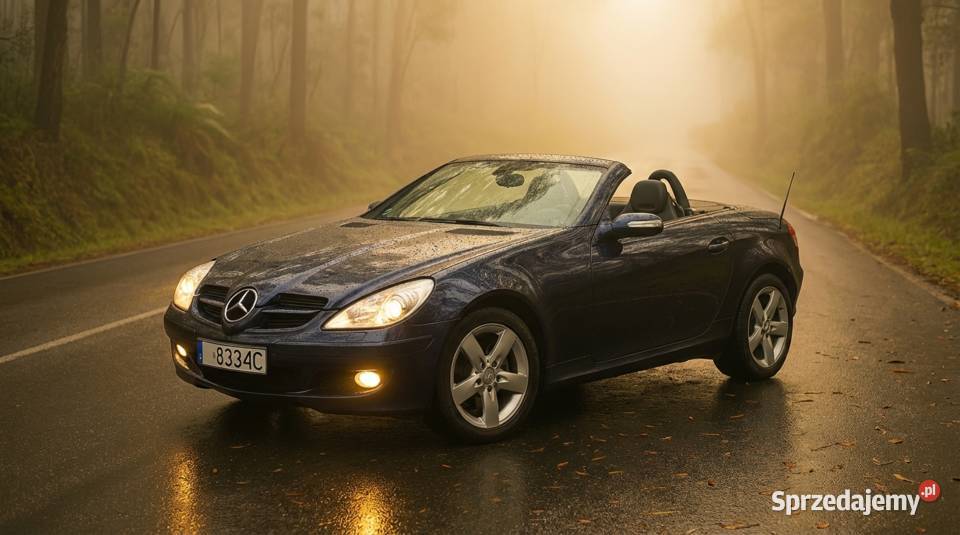 MercedesBenz SLK 200 Cabrio Piękny Roadster Mysłowice