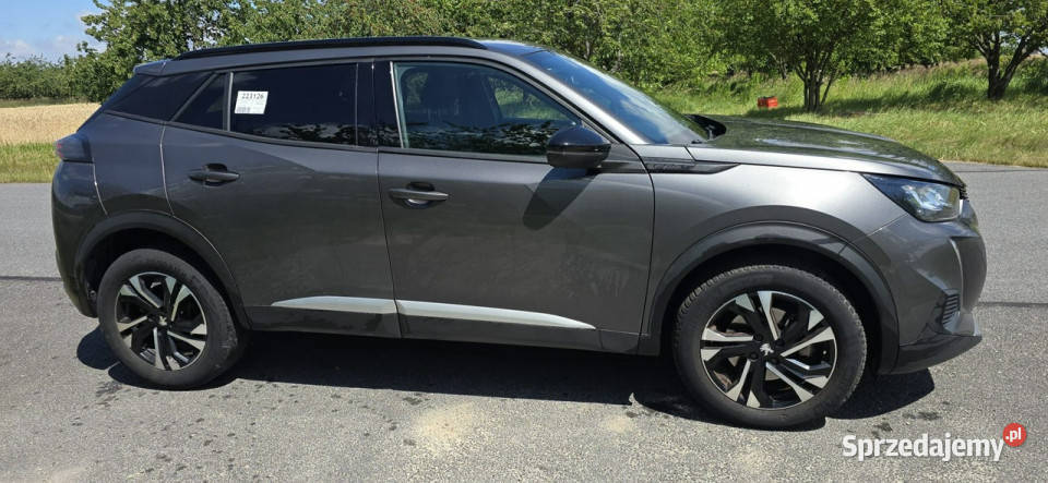 Peugeot 2008 40000 II 2019 przyciemniane szyby 2008 wielkopolskie Pleszew