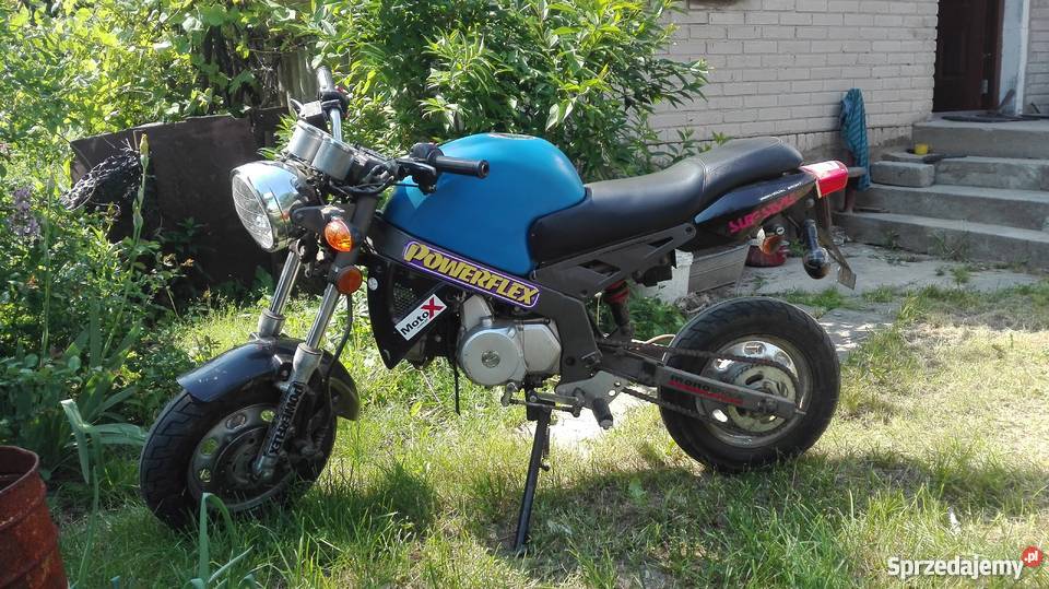 Keenmotorbikes badboy motorynka do nauki Do 8000km świętokrzyskie Waśniów