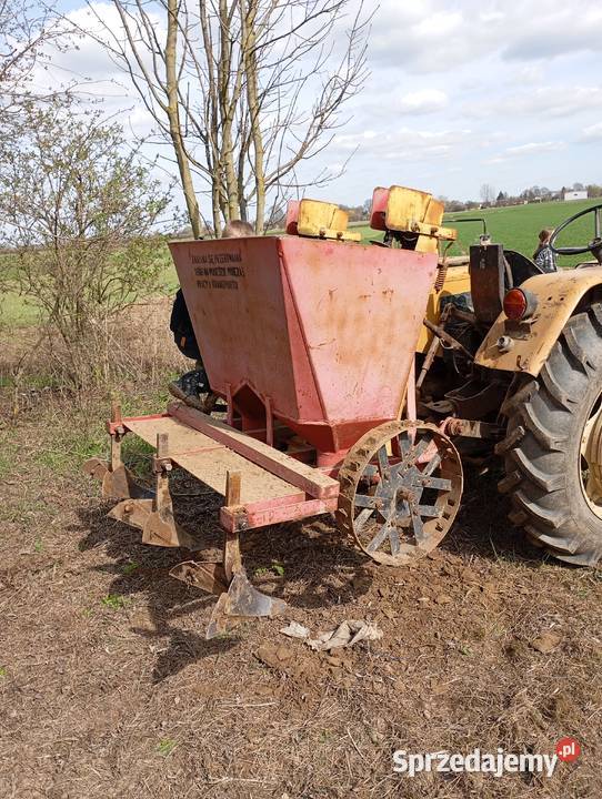 Sadzarka polska podkarpackie Mielec