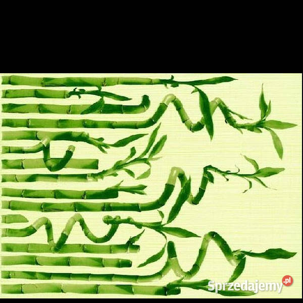 Dekor Inca verde B 25 x 333 Paradyż aktualne Białogard