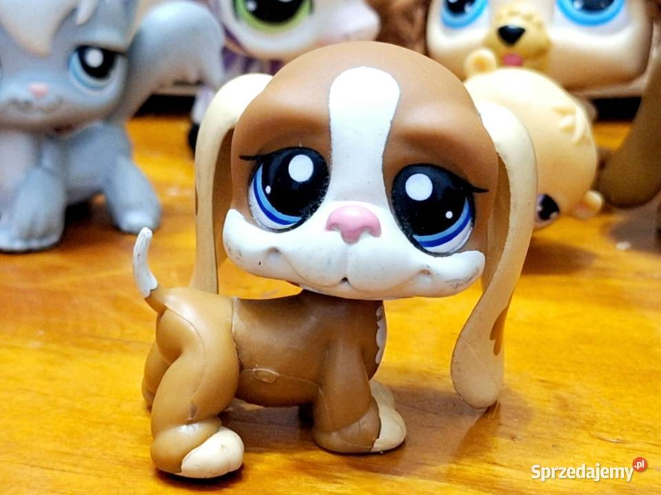 Pies basset plamki Littlest Pet Shop Figurki Braniewo