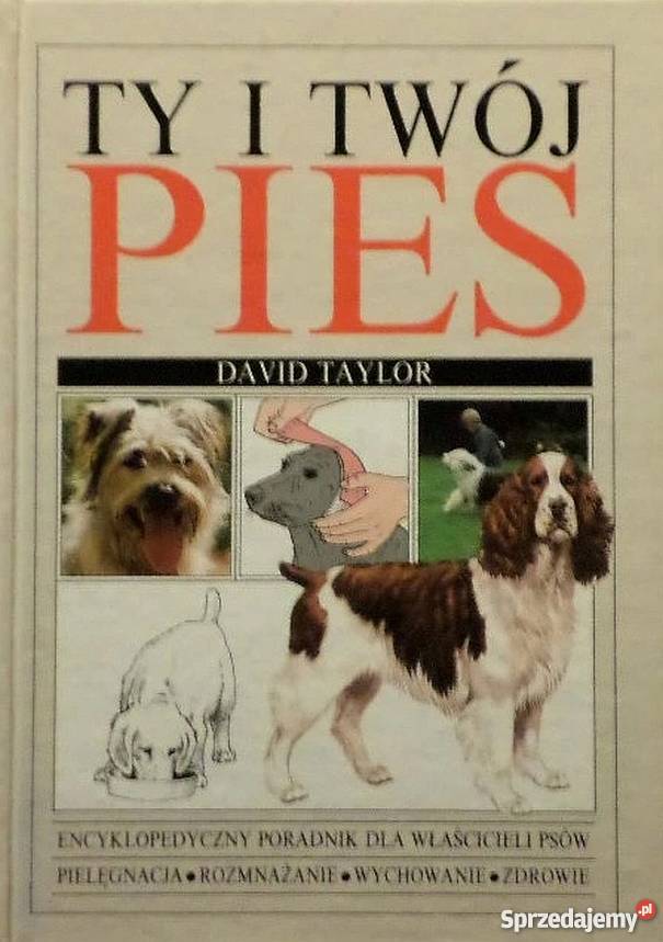 TY I TWÓJ PIES TAYLOR D