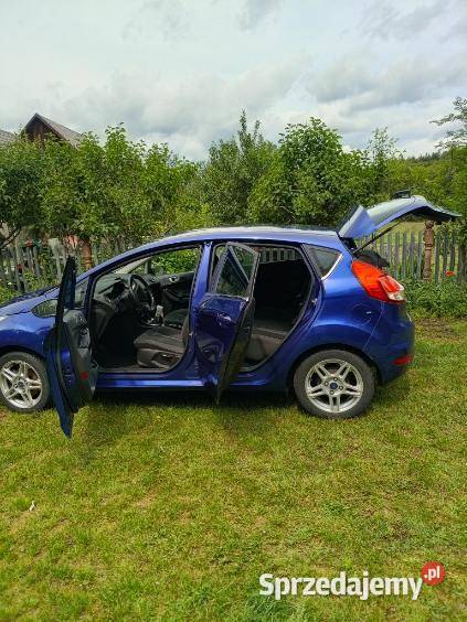 Ford Fiesta 16 TDCi Górnica