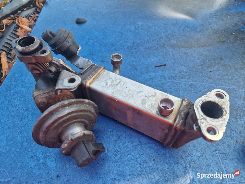 Alternator BMW x3 e83 30d m57 manual Samochody na części Prusice