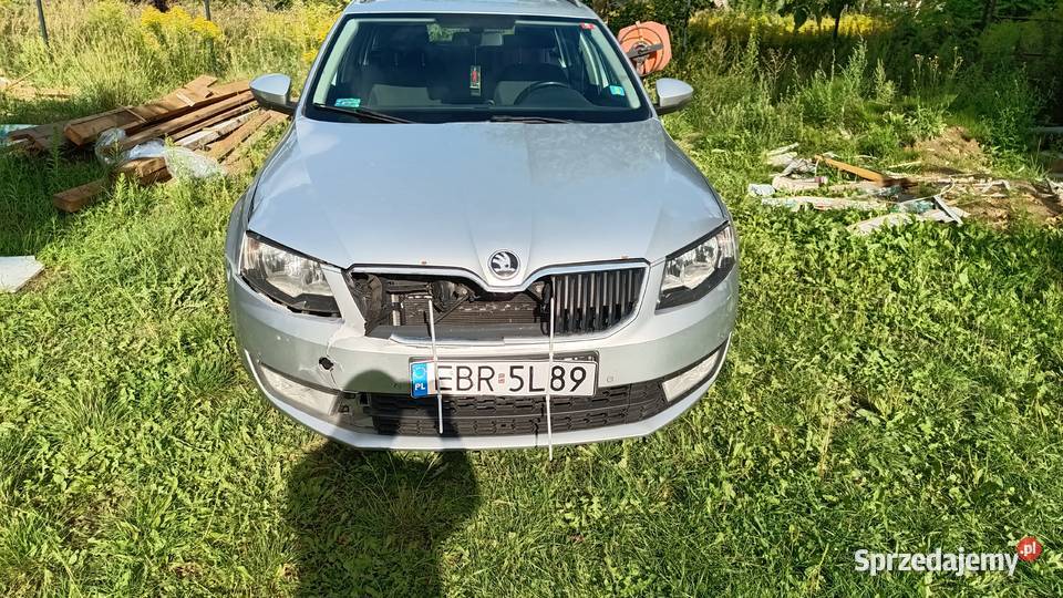 Skoda Octawia 3 Rogów