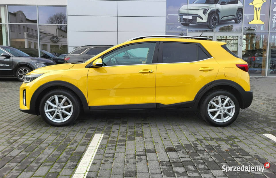 Kia Stonic Business Line 10 TGDI Toruń