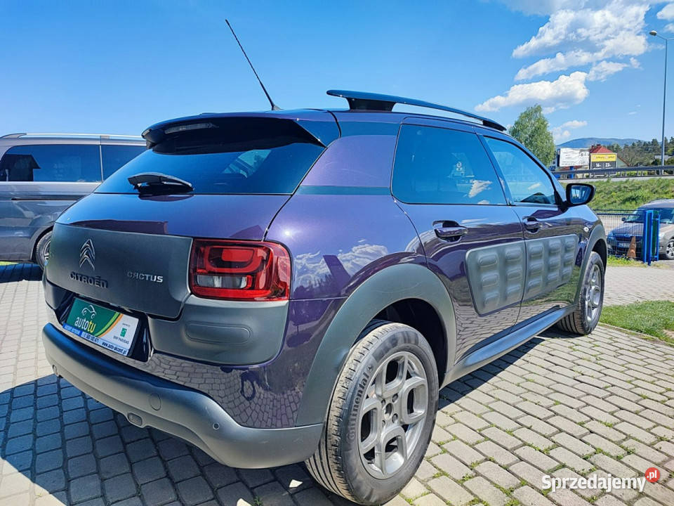Citroen C4 Cactus Oryginalny lakier Książka Ustroń