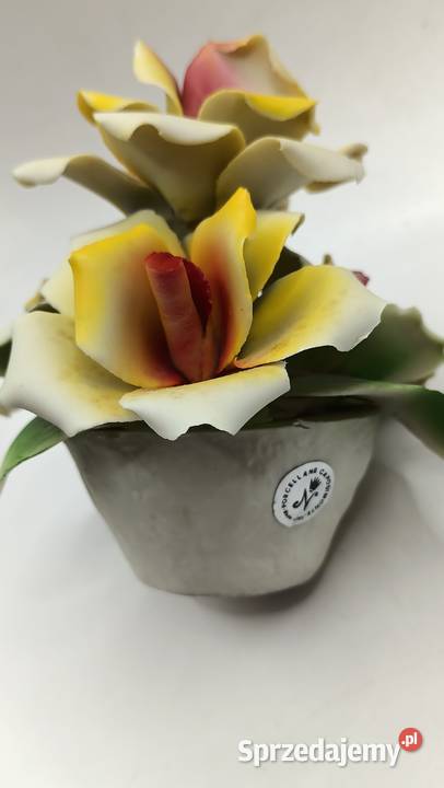 Porcelana dekoracja posy kwiaty róże Italy Porcelana i szkło Zamość