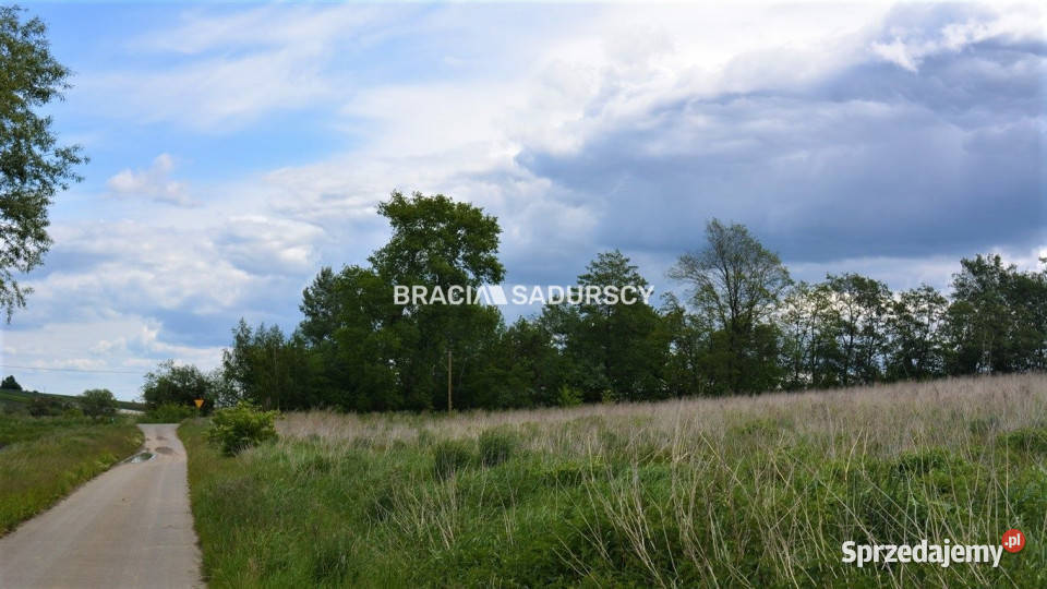 sprzedaży działki Glewiec 1519 metrów asfalt Sprzedaż sprzedam