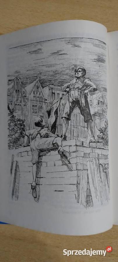 Chłopcy z placu broni Książki dla dzieci Lublin