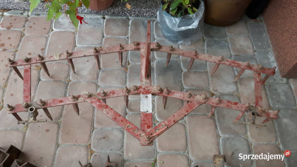 glebogryzarka Fortschritt traktorek dzik ciągnik Garwolin