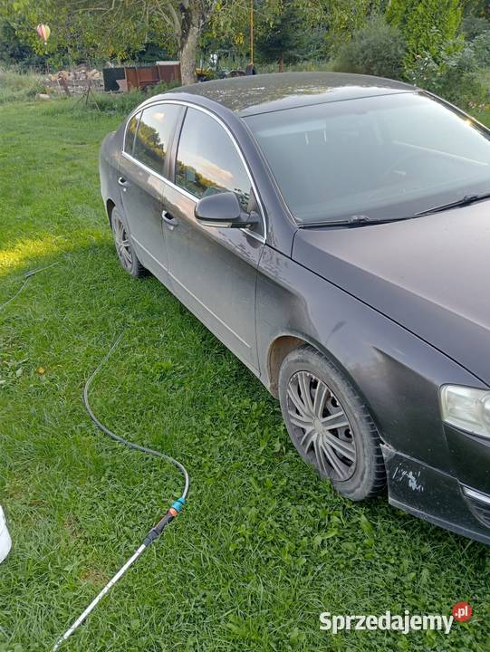 Passat b6 brązowy Mrówczyno