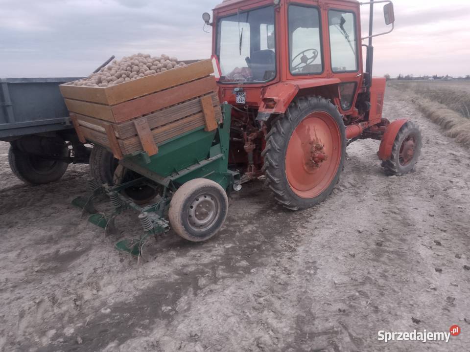 Koła do międzyrzędzi MTZ Belarus Pronar 9542 Kalisz