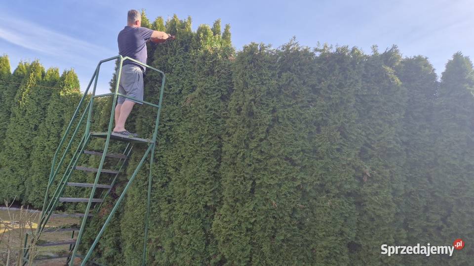 Drabina pomost pielęgnacja ogrodu podlaskie sprzedam