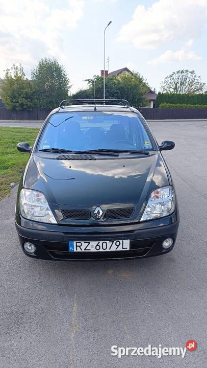 Renault Megane Scenic Rzeszów