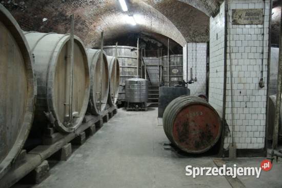 Syndyk sprzeda Szczecińską Fabrykę Wódek STARKA Szczecin