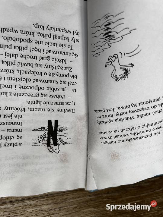 Wakacje Mikołajka Sempe i Goscinny Książki dla dzieci Wyszków