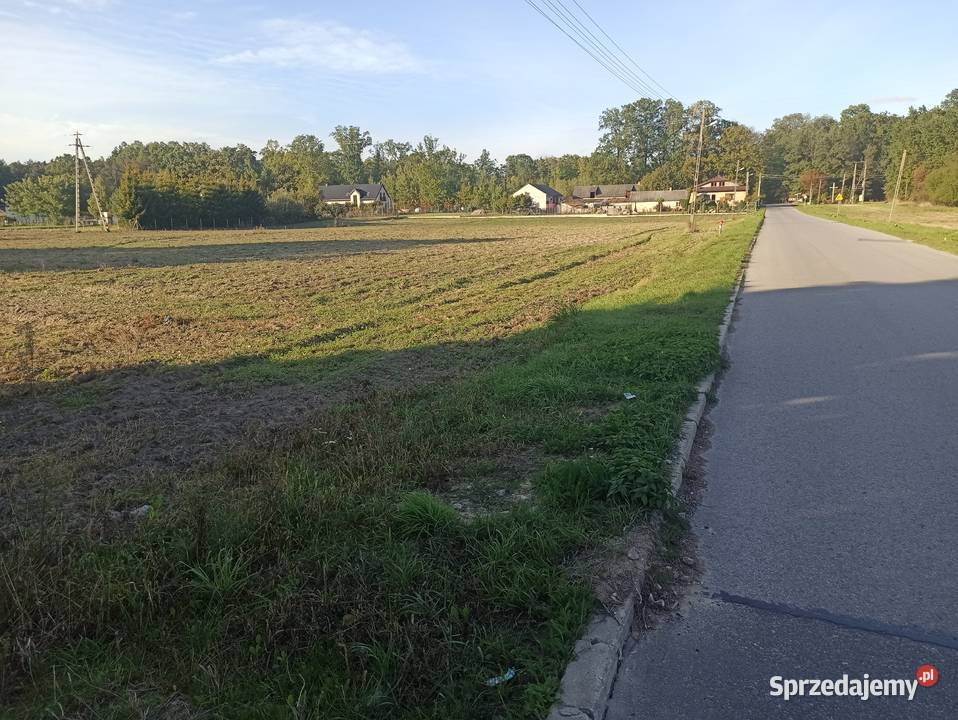 Sprzedam działki budowlane każda 1500m2 we wsi szambo Grochowa sprzedam