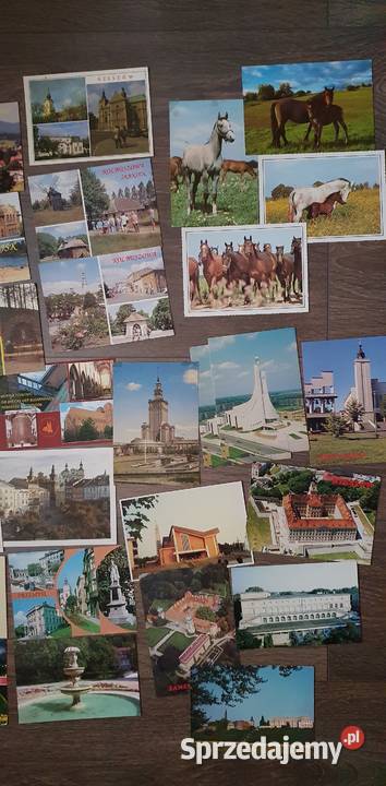 Stare kartki pocztowe miasta i konie małopolskie Kraków sprzedam