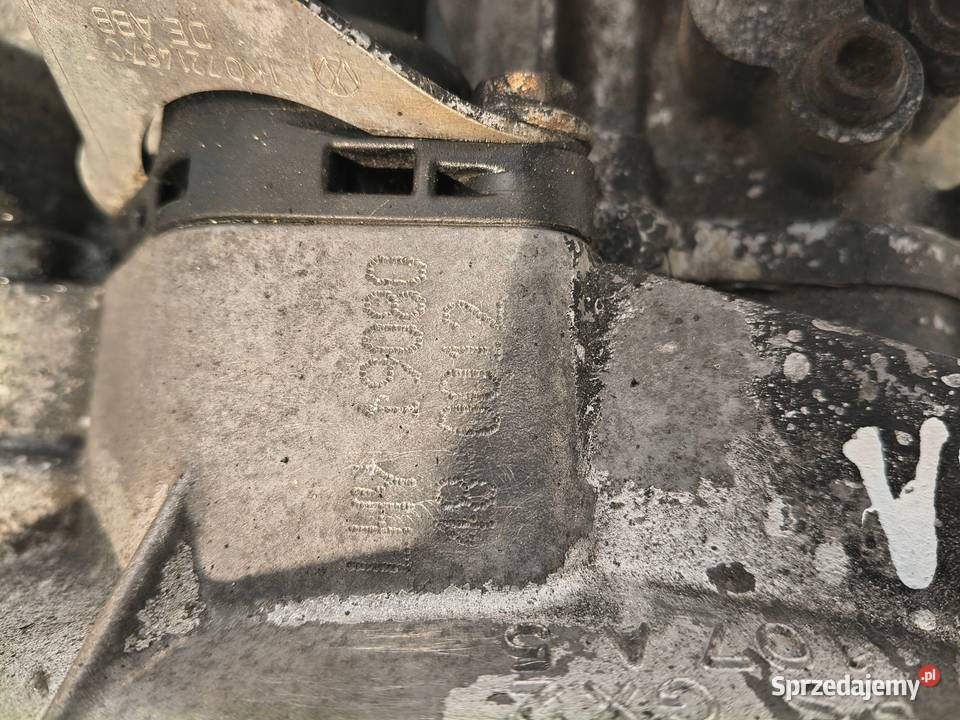 SKRZYNIA BIEGÓW VW Golf VI Octavia II Audi 14 osobowe Skrzynie biegów manualne lubelskie