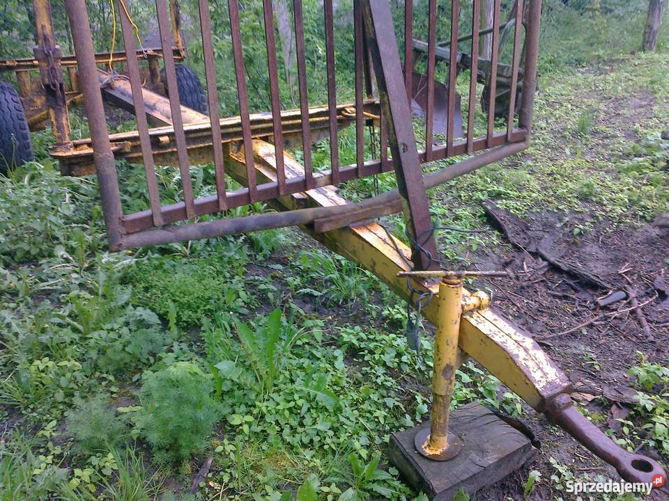 przyczepa lesna warmińsko-mazurskie Wilczęta