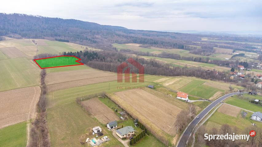 sprzedaży gruntu Żyznów 10400m2 podkarpackie sprzedam