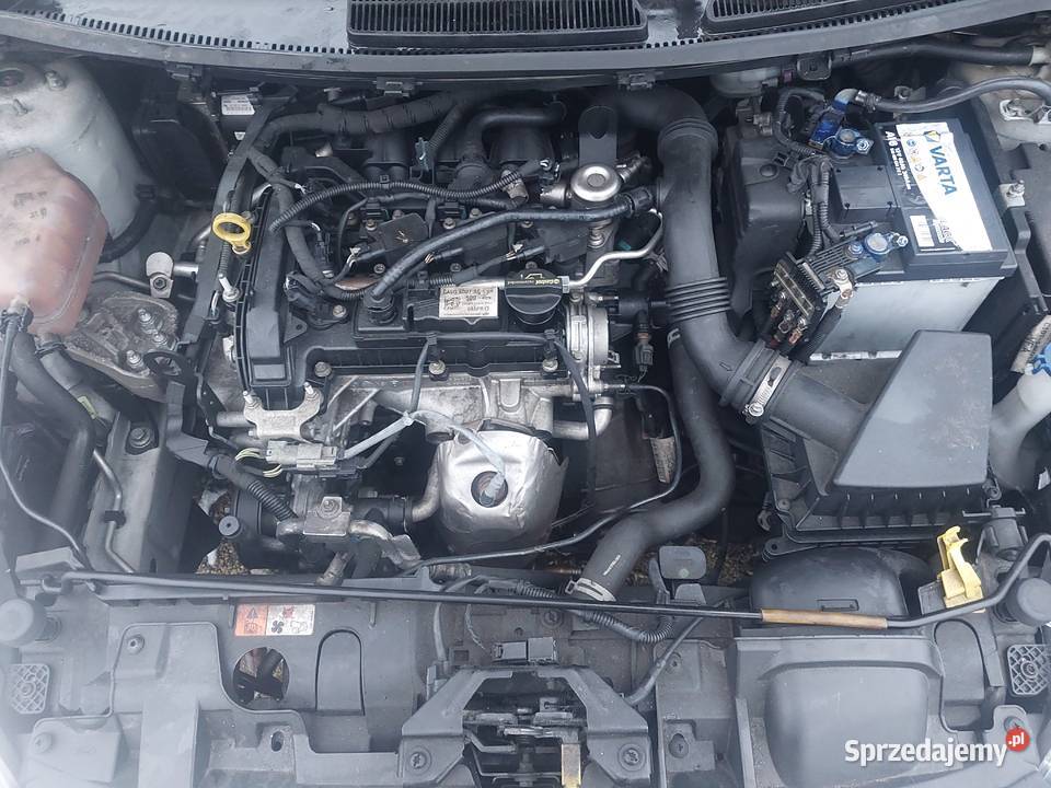 FORD FIESTA MK7 lift 10 65 12V TiVCT 2013r Pleszew sprzedam