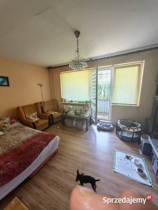 3 pokoje twierdza Modlin 52 m własność Sprzedaż mazowieckie sprzedam