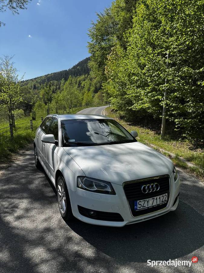 Audi A3 20 TDI COMMON RAIL Cisiec