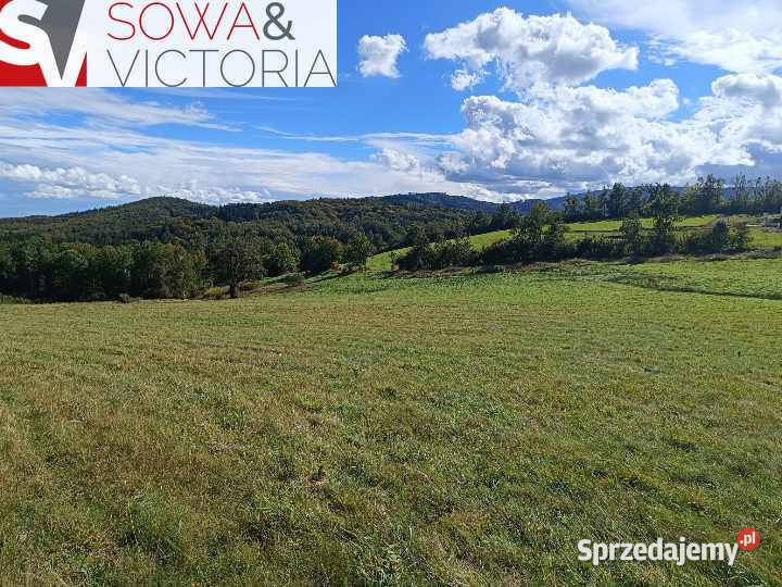 4 działki pod lasem w sąsiedztwie Boreczna Michałkowa