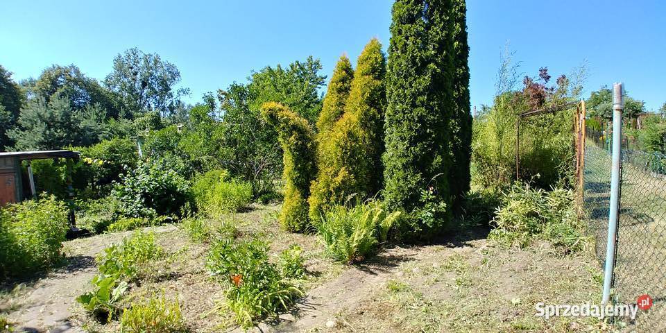 SZOMBIERKI Jedność Robotnicza ROD Sprzedam utwardzona Bytom sprzedam