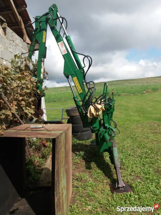 Cyklop Troll Kazimierza Wielka