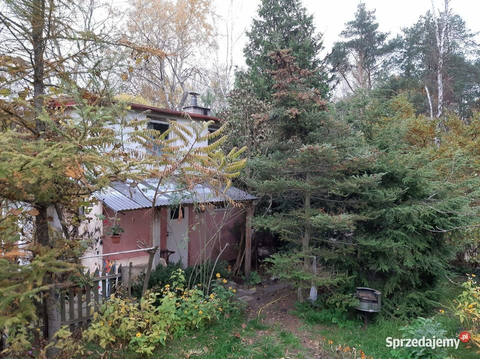 Sprzedam działkę ROD