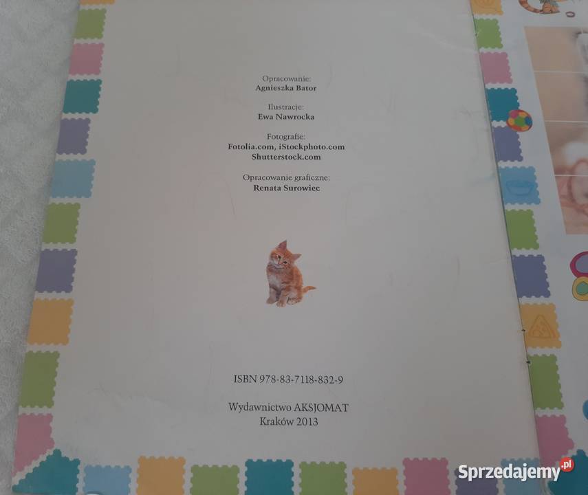 Ulubione koty Aksjomat 2013 Książeczki dzieci Książki dla dzieci Czeladź
