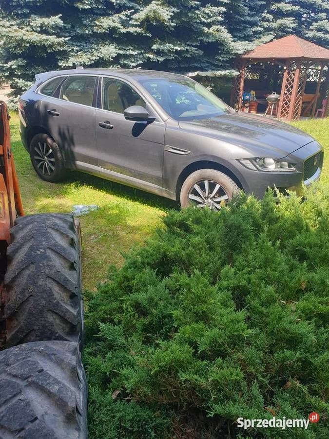 Jaguar Fpace jasna skora zadbany
