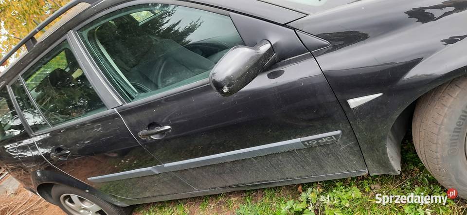 Drzwi prawe prawy przód Renault Megan ll NV676 osobowe zachodniopomorskie Szczecin