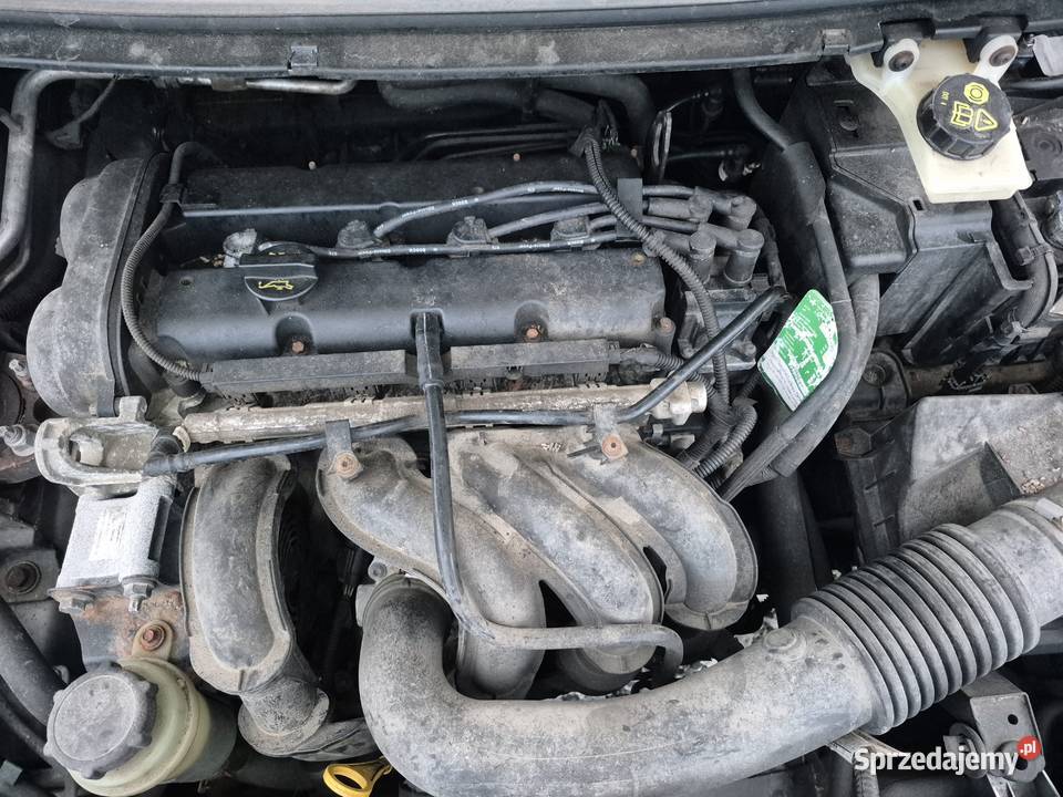 Ford Focus mk2 16 16V HWDA 03 Części Gostyń