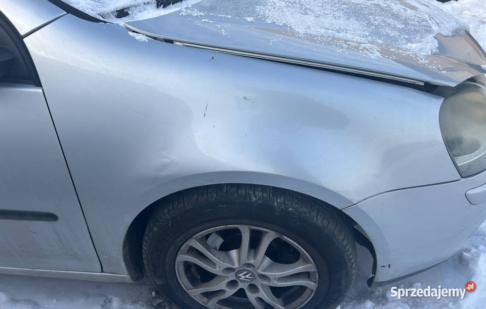błotnik lewy prawy vw jetta golf V Psary-Kąty