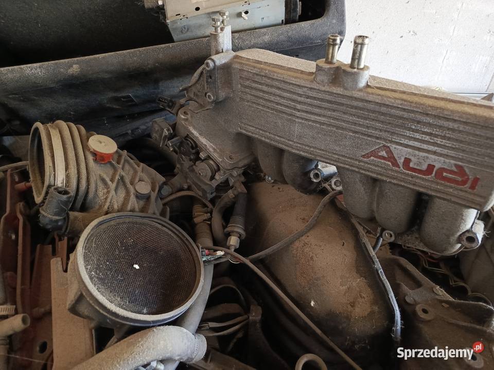 Audi 80 B4 23 R5 NG QUATTRO Projekt Nie Sprzedam podkarpackie Rzeszów sprzedam