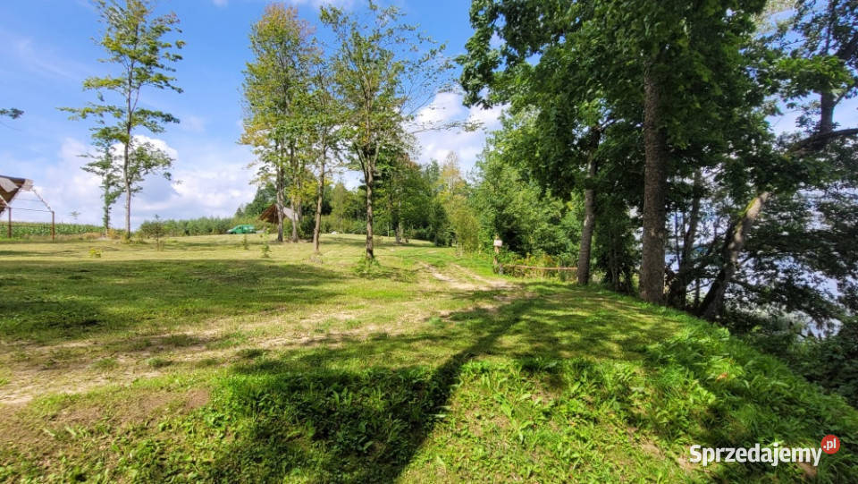 Działka Jeziorem Czarnym Pluszkiejmy Mazury warmińsko-mazurskie